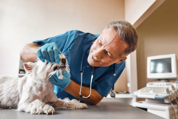 Best Emergency Treatment for Oral Infections in Dublin, GA
