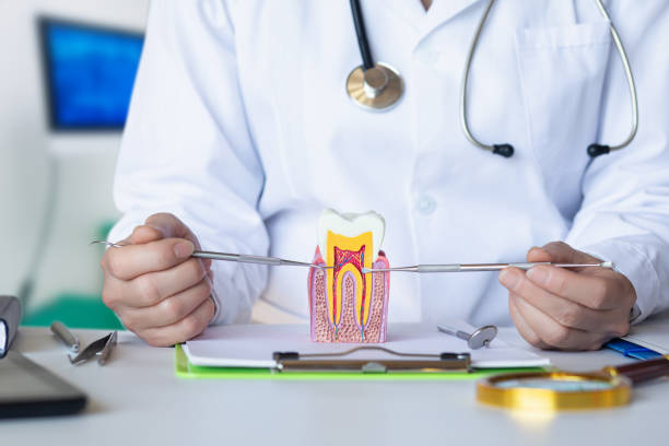 Best Broken or Chipped Tooth Repair in Dublin, GA
